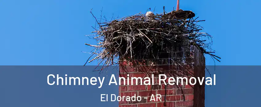  Chimney Animal Removal El Dorado - AR