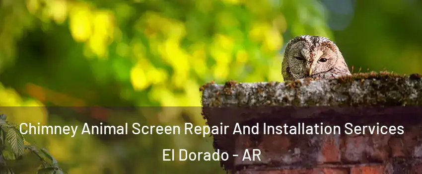  Chimney Animal Screen Repair And Installation Services El Dorado - AR