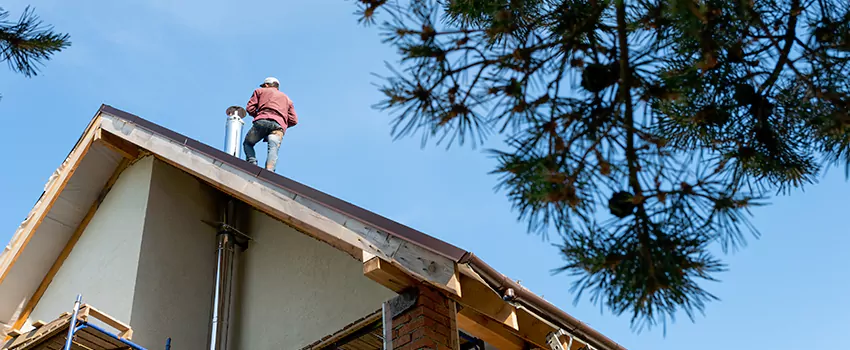 Birds Removal Contractors from Chimney in El Dorado, AR